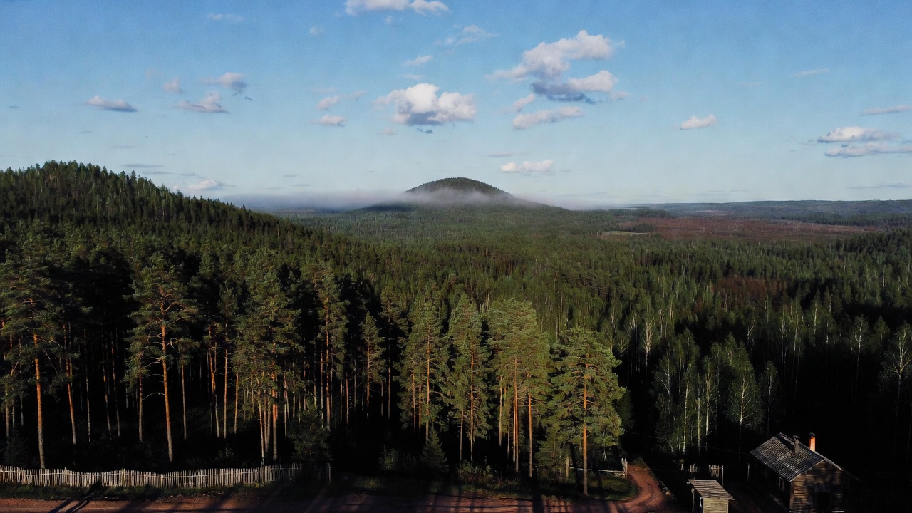 Леса России и устойчивое развитие — ЭкоТолк, экологический диктант